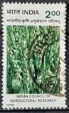[The 60th Anniversary of Indian Council of Agricultural Research (1989), type AOM]