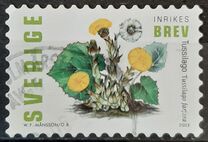 [Spring flowers - Self-Adhesive Stamps, type BQT]