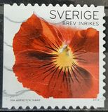 [Flowers - Self Adhesive, type CGP]