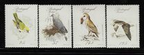 [Rare Birds, סוג BV]