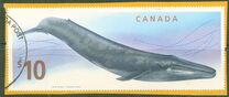 [Blue Whale, type CVW]
