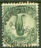 [Superb Lyrebird, Typ N]