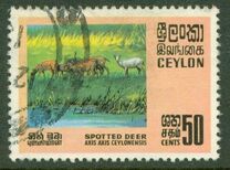 [Wildlife, 類型 GD]