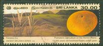 [Ancient Sri lanka, Tüüp ANK]