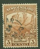 [Newfoundland Troops in the World War I, tip BZ1]