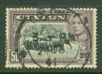[King George VI - Local Motives, тип BV]