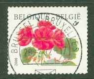 [Flower - Year "2000" Imprint, Tip CFV1]