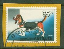 [Dog Breeds, type ACO]