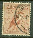 [Kookaburra, type P]