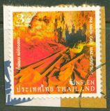 [Unseen Thailand, type DFP]