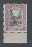 [No. 47 Overprinted "SPECIAL - DELIVERY", type L]