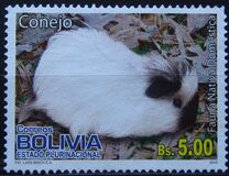 [Domestic Animals, type BQF]
