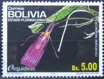 [Flora - Flowers, type BQY]