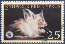 [Mediterranean Horseshoe Bat, Scrivi AFP]