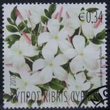 [Flora - Plants, タイプ ANZ]