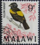 [Birds, type BP]