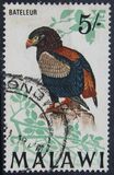 [Birds, type BU]