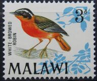 [Birds, type BM]