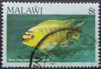 [Fish, Tip MJ]