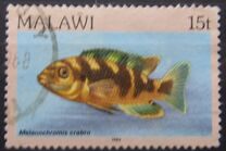 [Fish, Tip ML]