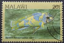 [Fish, Tip MM]