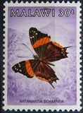 [Butterflies, տեսակ NE]