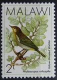 [Birds, type PU]