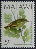 [Birds, type PV]