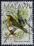 [Birds, type PU]