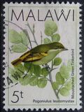 [Birds, type PV]