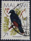 [Birds, type PW]