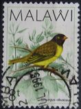 [Birds, type PX]