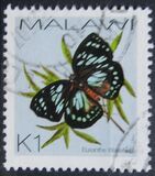 [Butterflies, Tipe XXF]