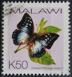 [Butterflies, Tipe XXL]