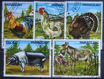 [Domestic Animals, タイプ BMK]