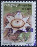 [Paraguay-Argentina Stamp Exhibition "PARAFIL '98", Asuncion - Fungi, 유형 EGS]