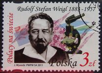[Polish People Around the World, Tüüp GGU]