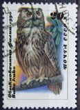 [Owls, type HKB]