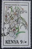 [Orchids, type VY]