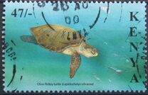 [Marine Turtles, típus ABK]