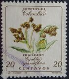 [Flowers, प्रकार ZT]