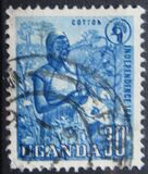 [Independence, type P]