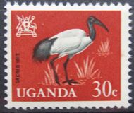 [Birds, type AC]