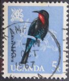 [Birds, type Y]