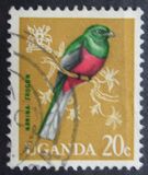 [Birds, type AB]