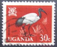 [Birds, type AC]