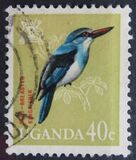 [Birds, type AD]