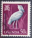 [Birds, type AE]