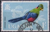 [Birds, tyyppi AG]