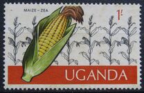 [Ugandan Crops, Typ BM]
